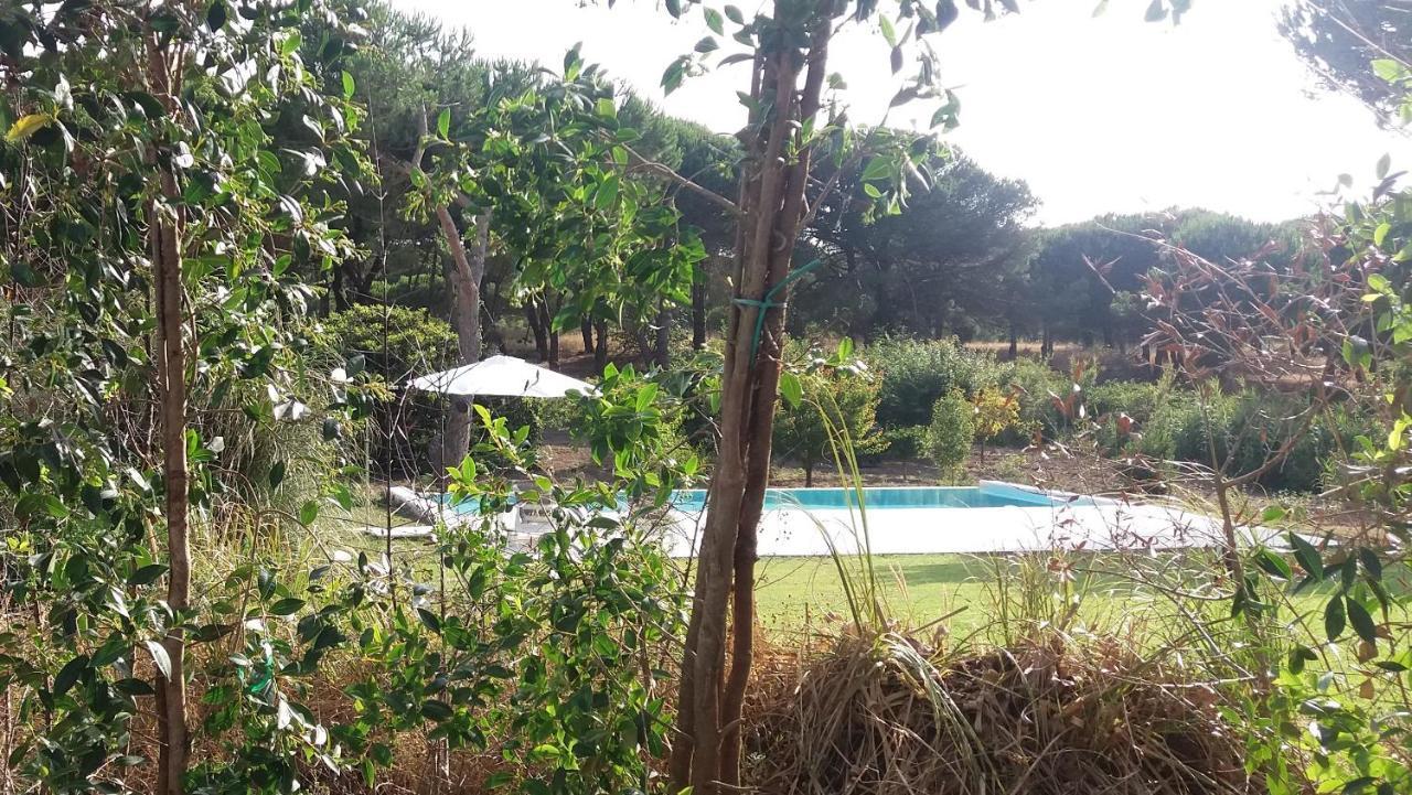 Villa Casa Rio da Prata Aldeia do Meco Esterno foto